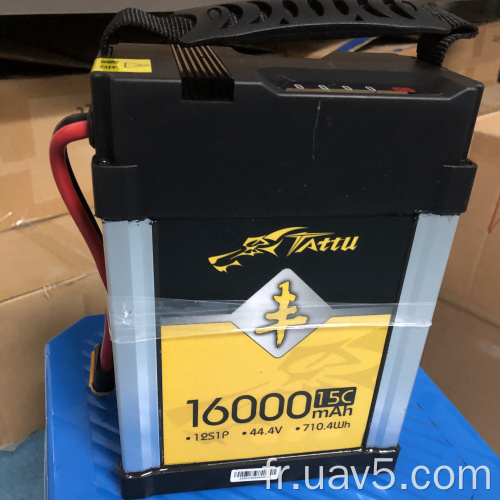 Tattu Agriculture pulvérisateur drone batterie 12s 15c 16000mAh